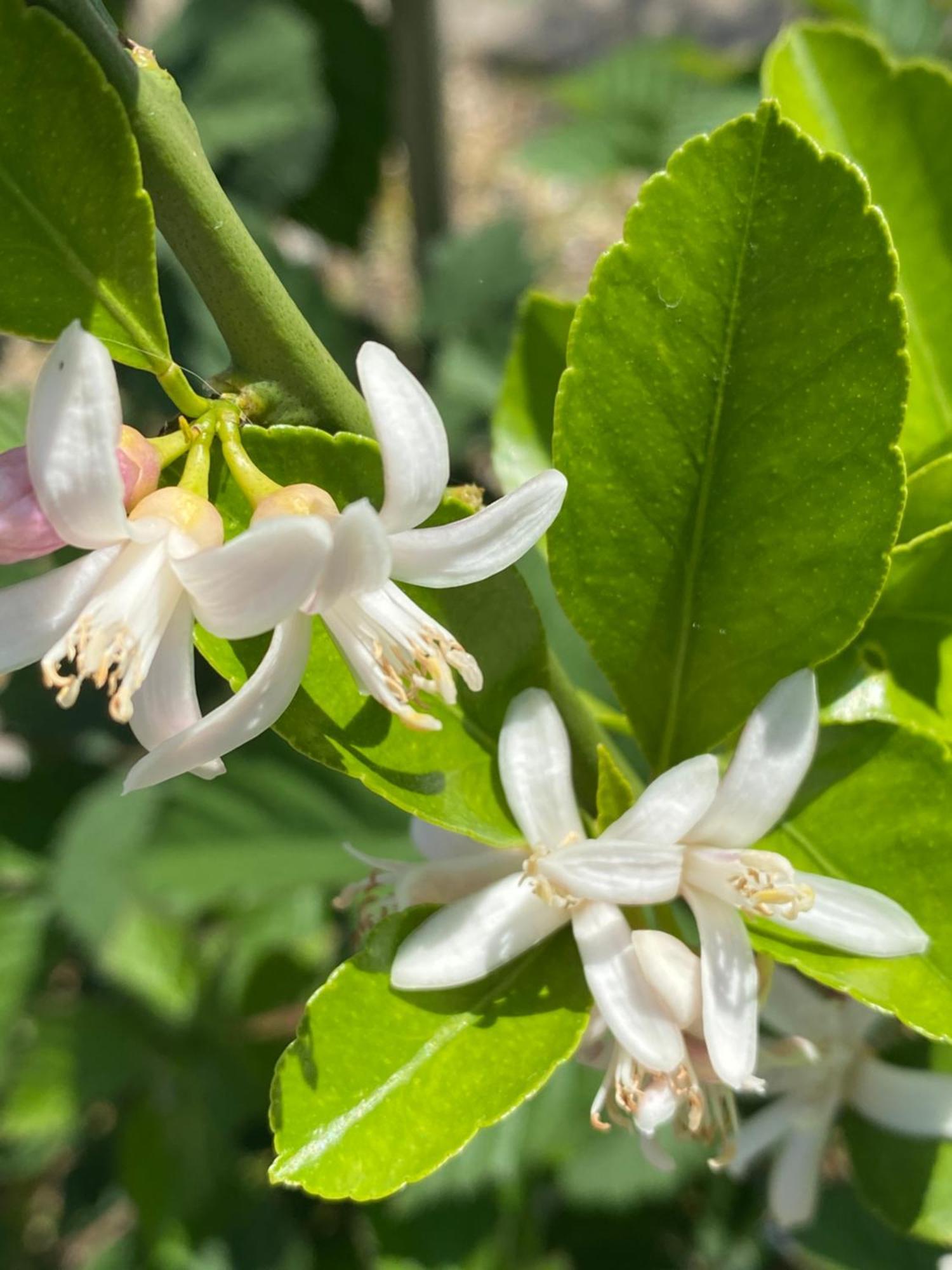 B&B Legare Gifu Εξωτερικό φωτογραφία